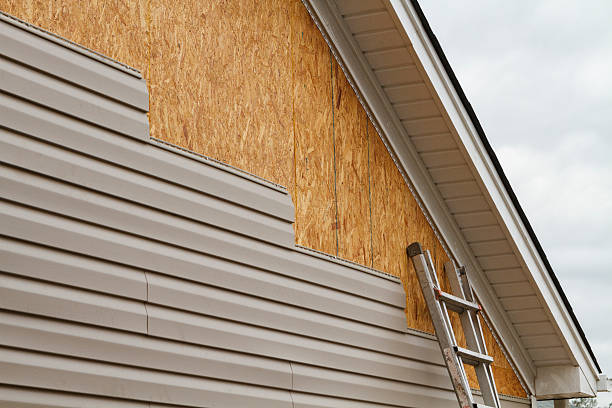 Storm Damage Siding Repair in Virginia, MN